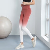 Leggings, Gradient, Beautiful Legs, Sweat Absorbent, Quick Drying, High Waist, Long Length, Stretch, Retro, Tight, Polyurethane, Gradient, 4 Colors to Choose from, High Waist, Stomach Cover, Hip Lift, Ankle Length, S-XL